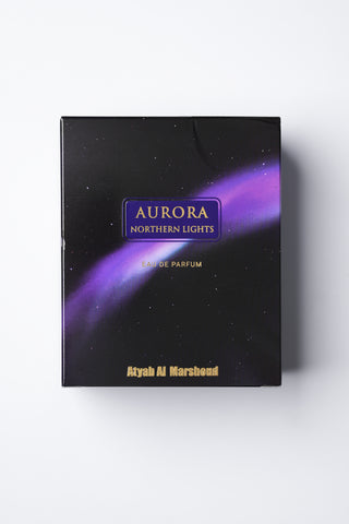 Aurora Northern Lights
