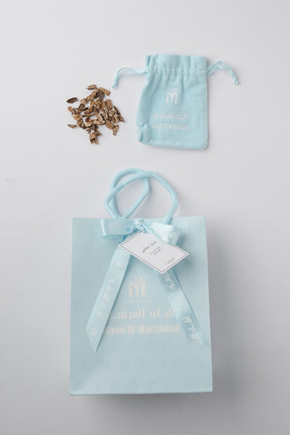 Back-to-School Set 6